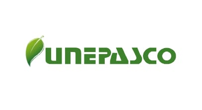 Client 13